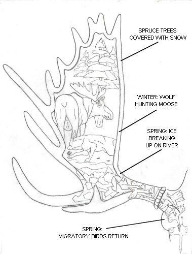 379x500 hand drawn antlers moose antlers drawing this drawing will be - Moose Antlers Drawing