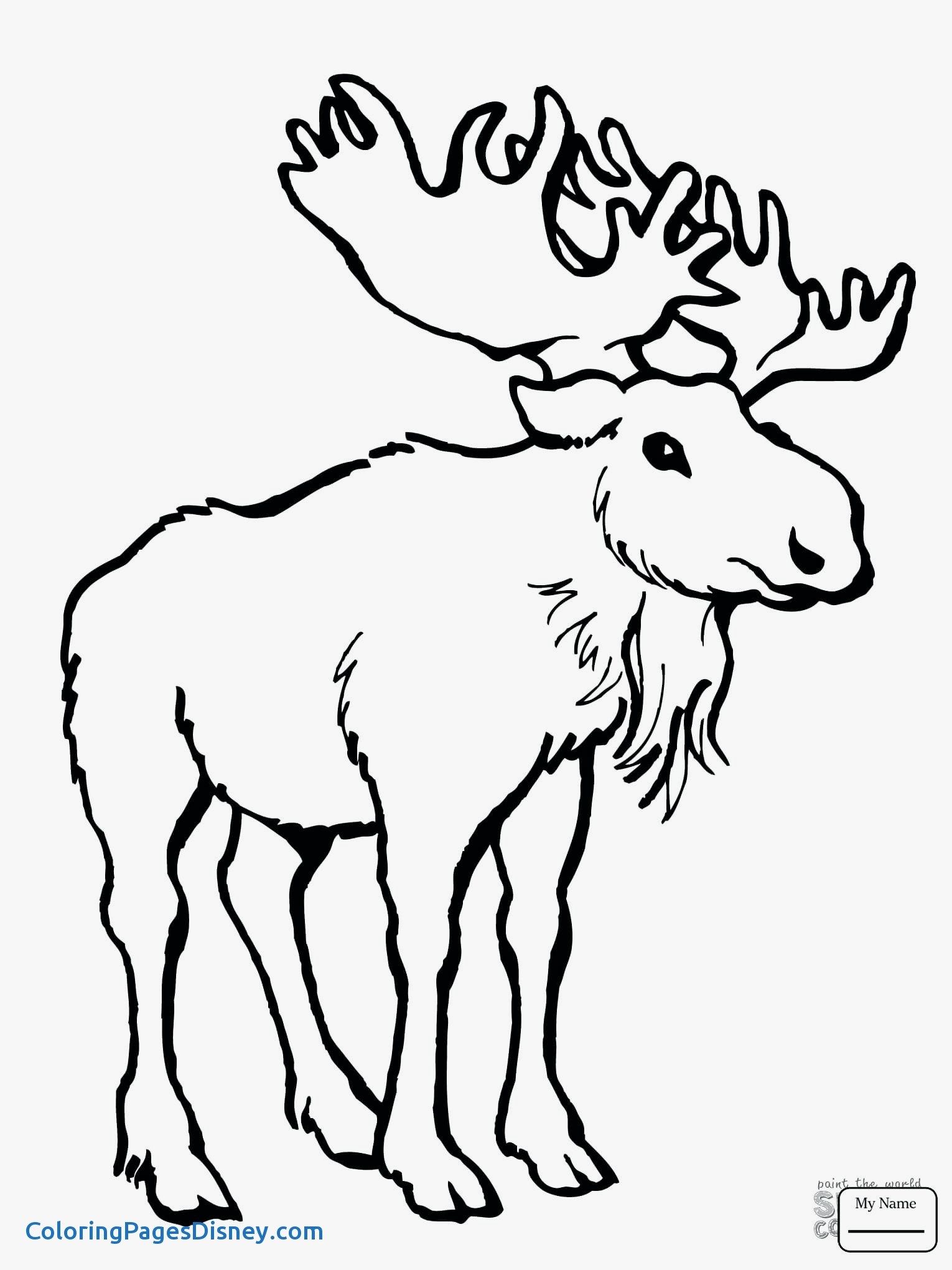 Moose Drawing Outline at Explore collection of