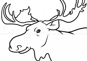 300x210 Draw A Cartoon Moose How To Draw A Moose - Moose Cartoon Drawing