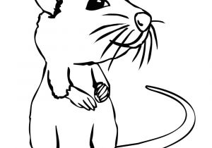 300x210 Colorings Coloring Pages - Moose Cartoon Drawing