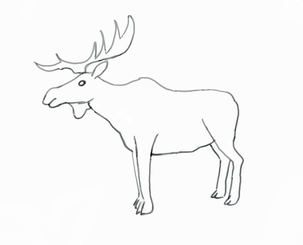 1028x833 With How To Draw A Moose Head - Moose Cartoon Drawing