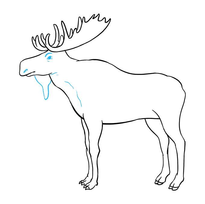 680x678 How To Draw A Moose - Moose Cartoon Drawing