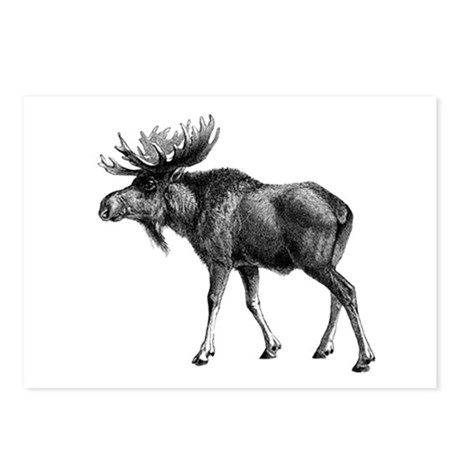 460x460 Moose Drawing Postcards - Moose Drawing