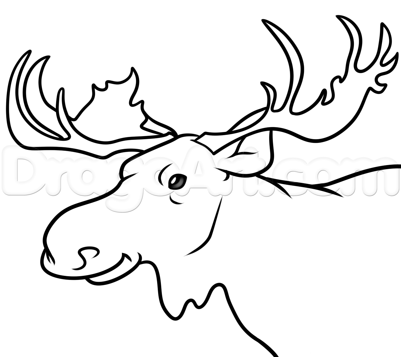 1286x1144 Moose Head Drawing Tutorial, Step - Moose Drawing