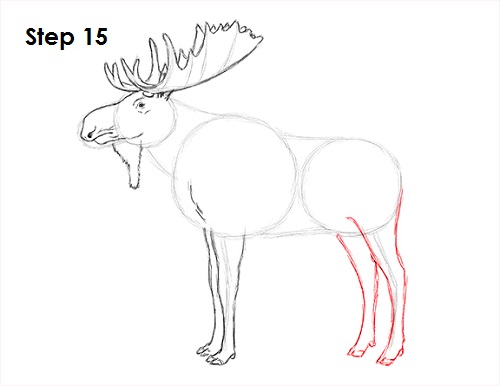 500x386 Moose Drawing Free Download - Moose Drawing