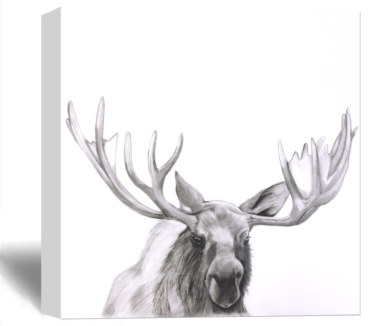 1280x1130 Oversized Moose Drawing Art Doodlefish - Moose Drawing