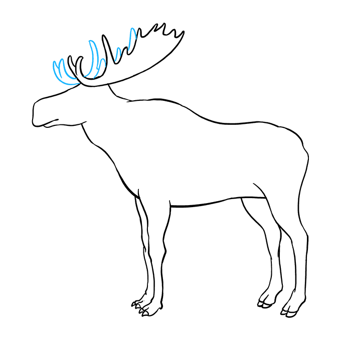 680x678 How To Draw A Moose - Moose Drawing