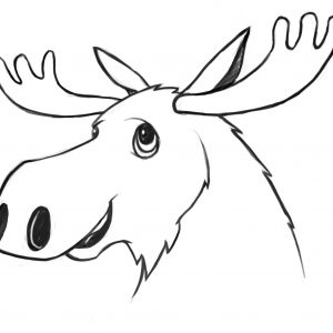 300x300 how to draw a moose new moose drawing step - Moose Drawing For Kids