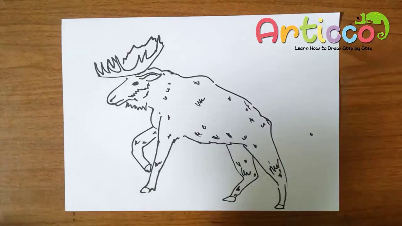 1280x720 How To Draw Moose Step - Moose Drawing For Kids