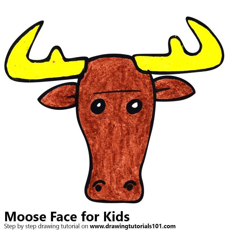 800x800 Learn How To Draw A Moose Face For Kids - Moose Drawing For Kids