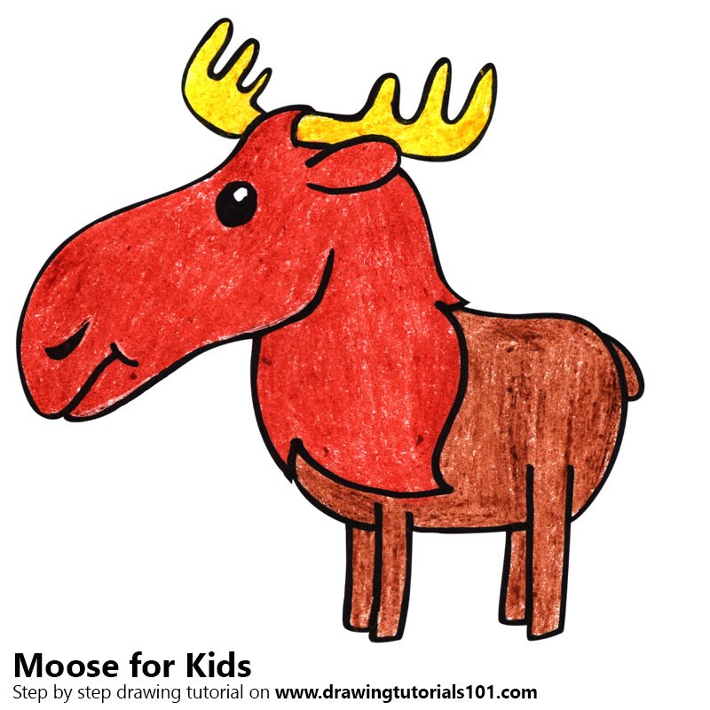800x800 Learn How To Draw A Moose For Kids - Moose Drawing For Kids