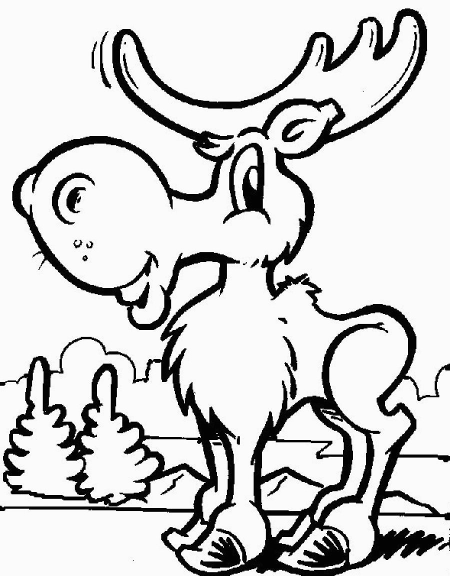 900x1152 Moose Coloring Pages For Kids Printable Coloring - Moose Drawing For Kids