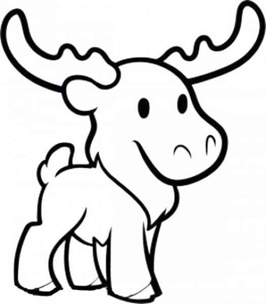 525x600 Moose Coloring Pages For Kids - Moose Drawing For Kids