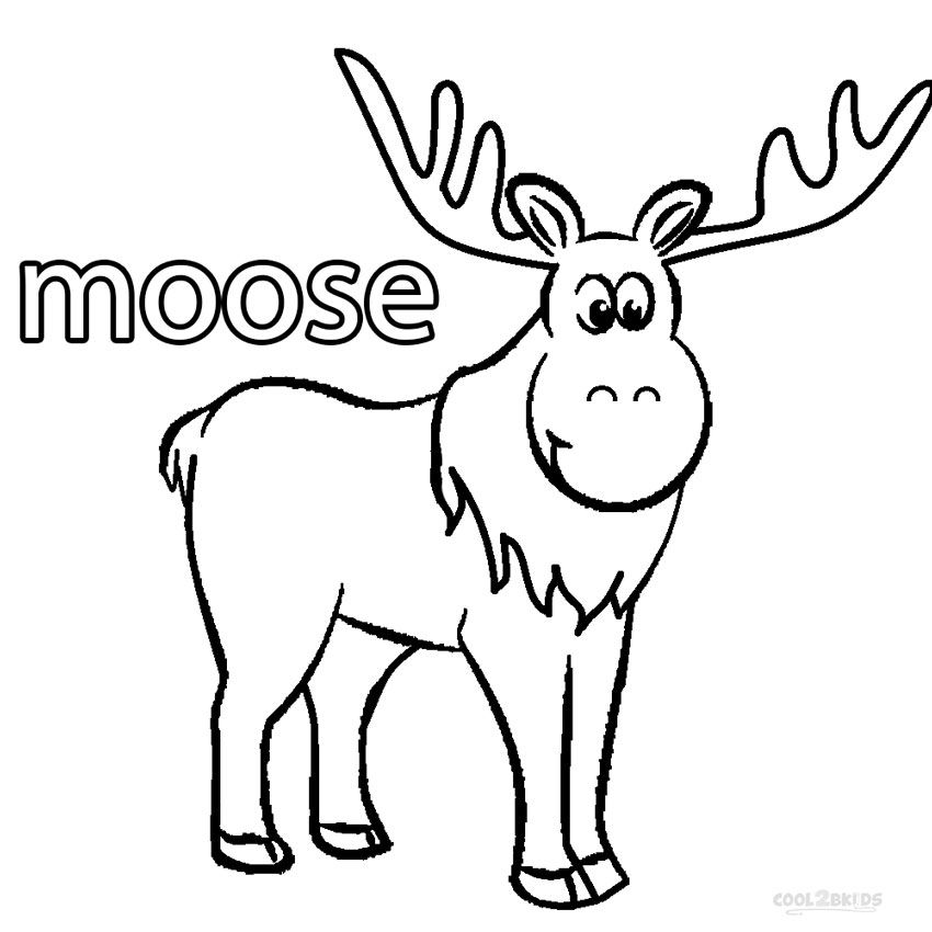 850x850 Moose Drawing Free Download - Moose Drawing For Kids