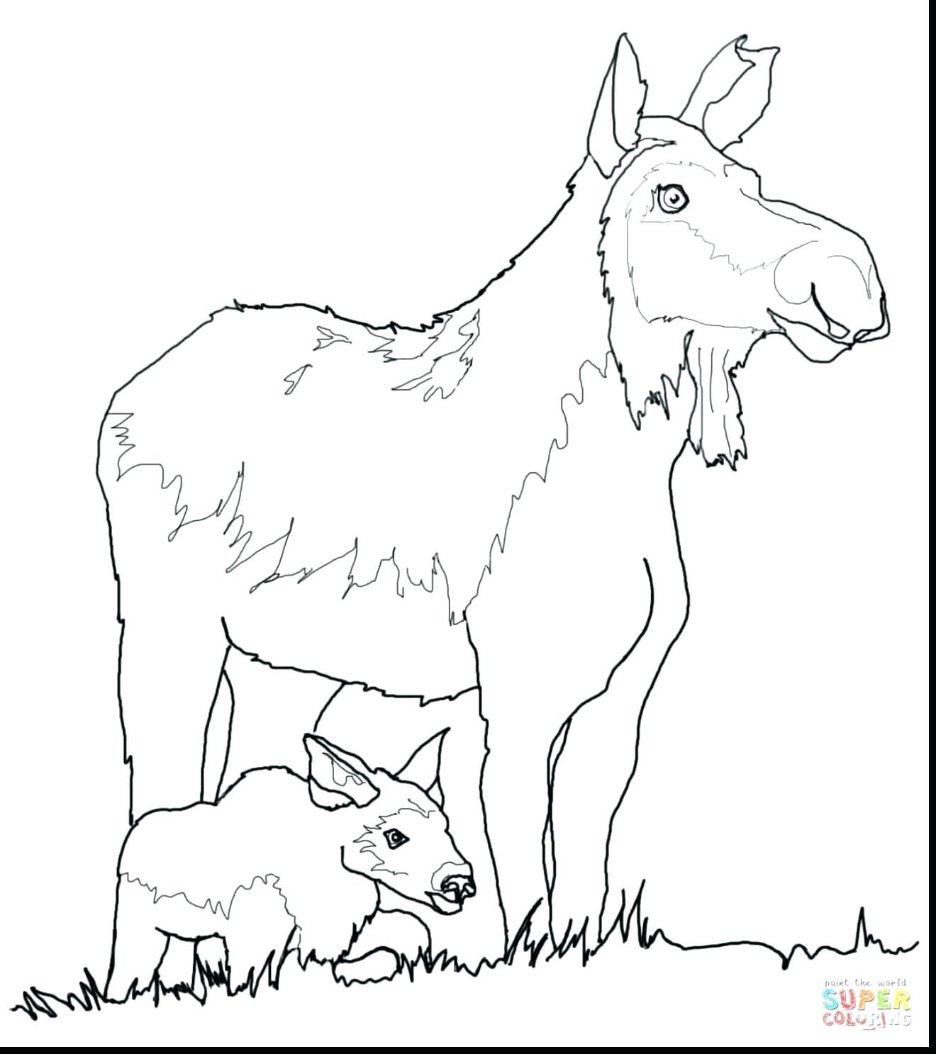 1320x1487 moose a moose coloring pages - Moose Drawing Outline