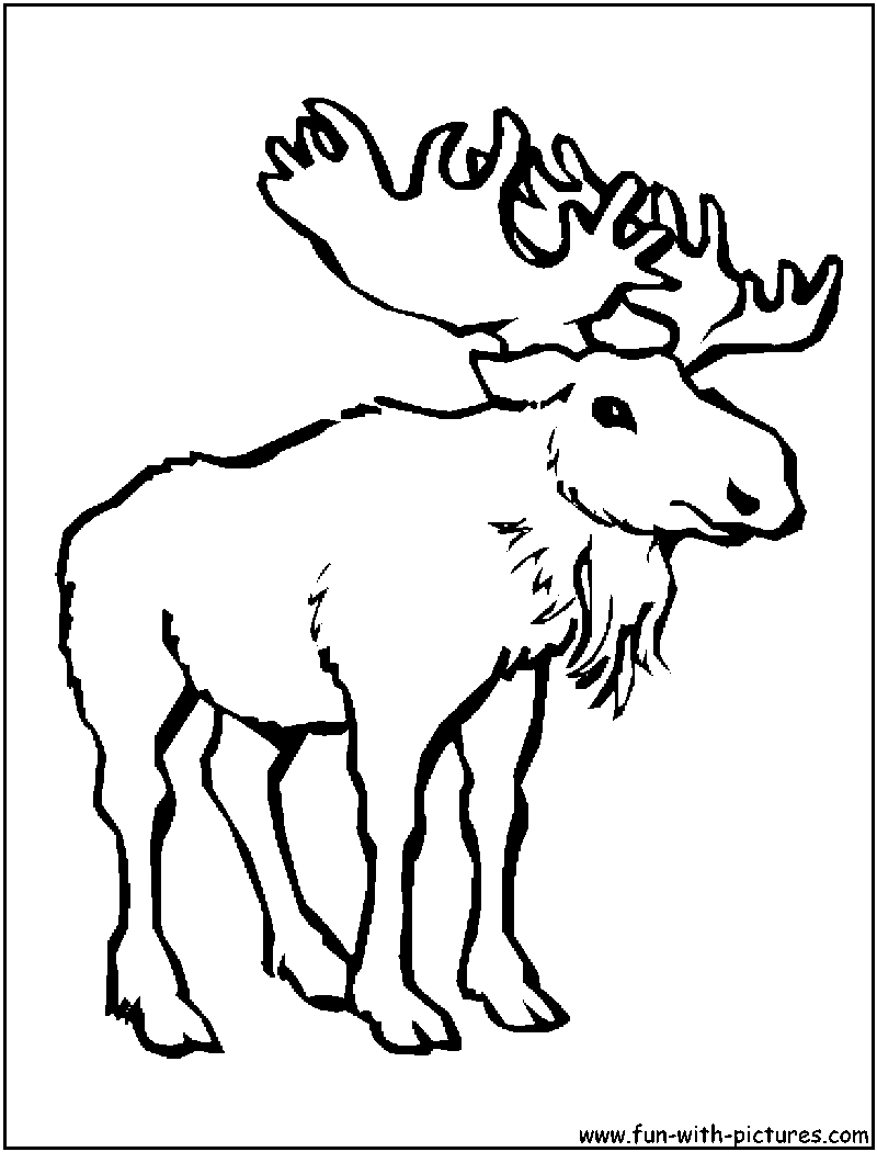 800x1050 Thidwick The Big Hearted Moose Coloring Pages - Moose Drawing Outline