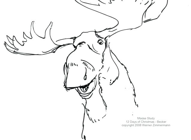 638x470 coloring pages printable animals princess for kids muffin if you - Moose Drawing Outline