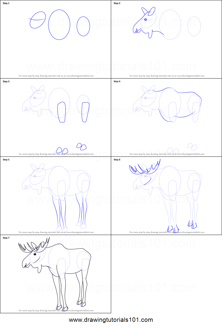 751x1111 How To Draw A Moose Printable Step - Moose Drawing Step By Step