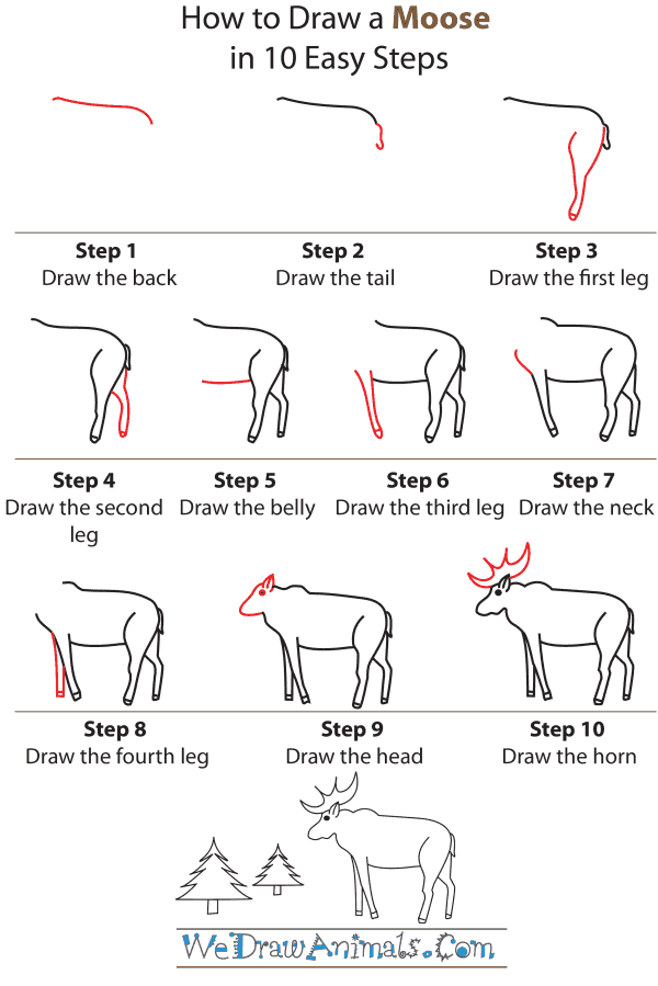 600x899 How To Draw A Moose - Moose Drawing Step By Step