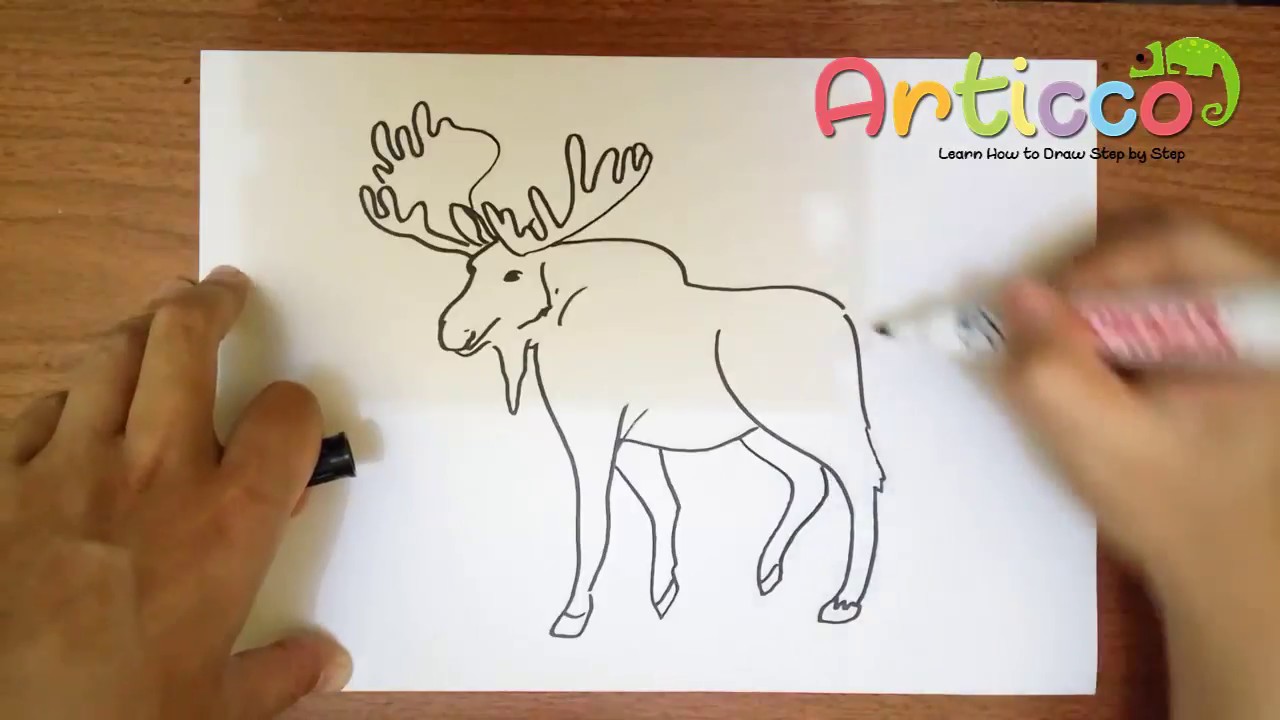 1280x720 How To Draw A Moose - Moose Drawing Step By Step