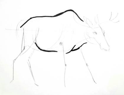 420x322 Learn How To Draw A Moose - Moose Drawing Step By Step