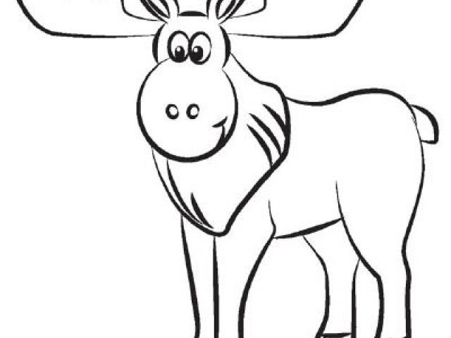 640x480 How To Draw A Moose Face - Moose Face Drawing