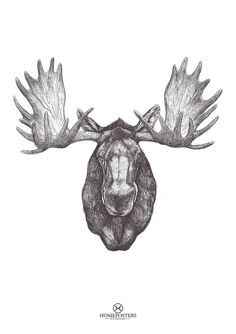 236x334 best moose head images moose art, moose head, elk - Moose Head Drawing