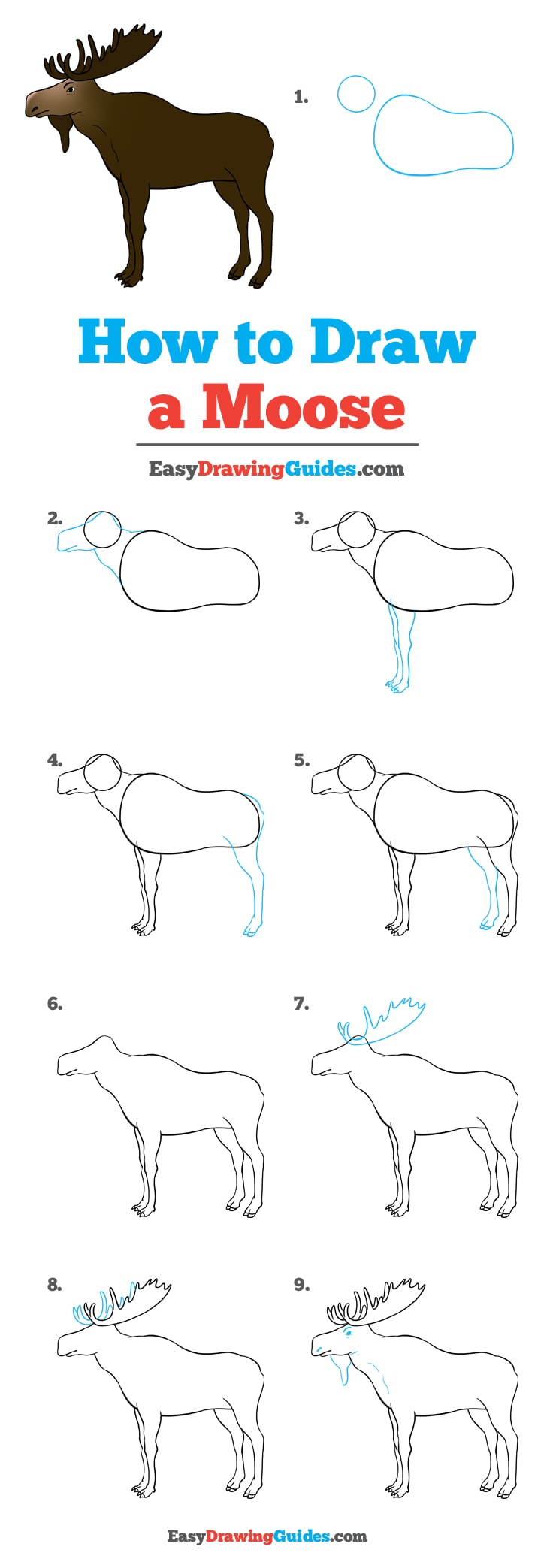 736x2087 How To Draw A Moose - Moose Line Drawing