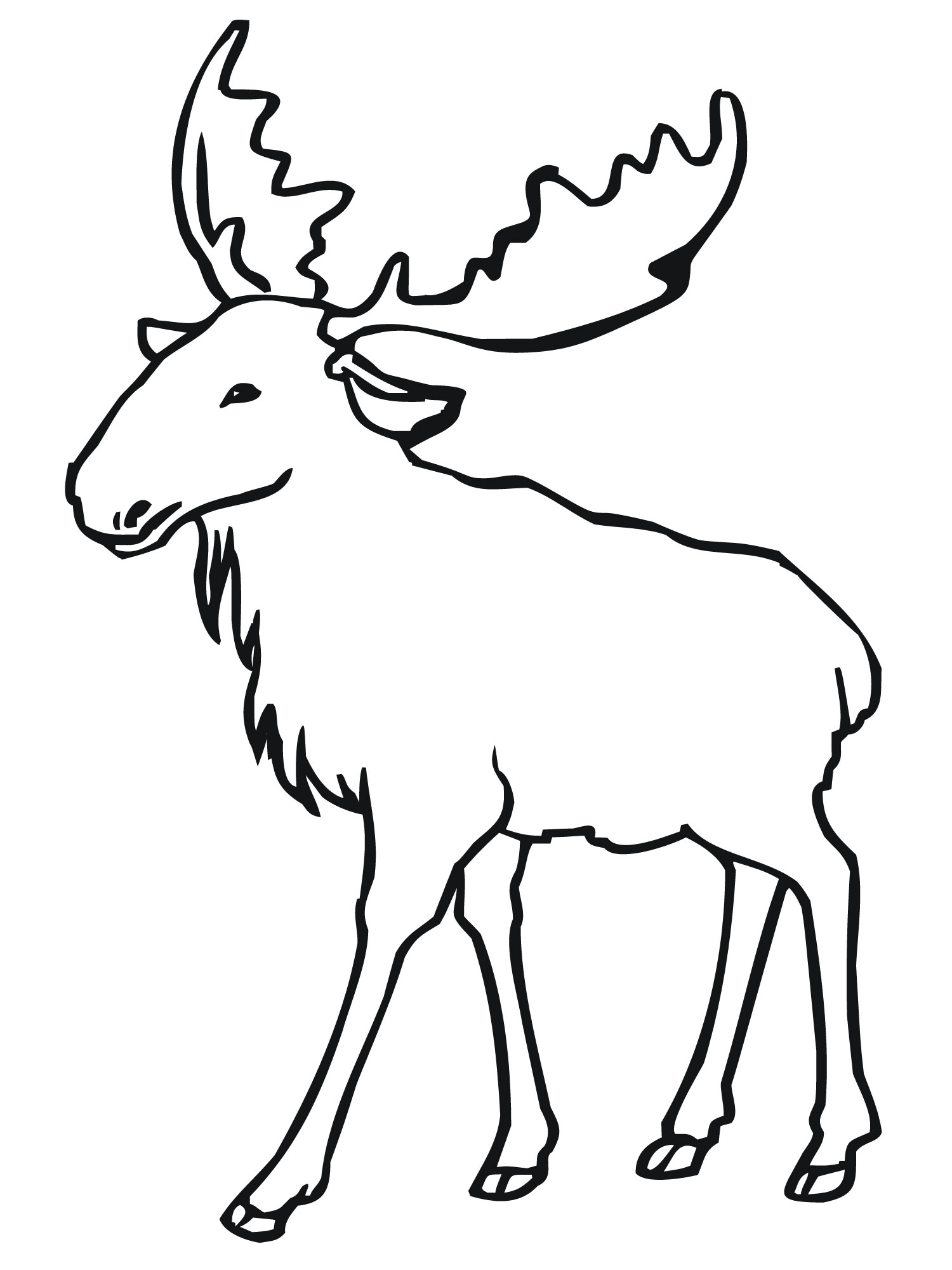 Moose Line Drawing at Explore collection of Moose
