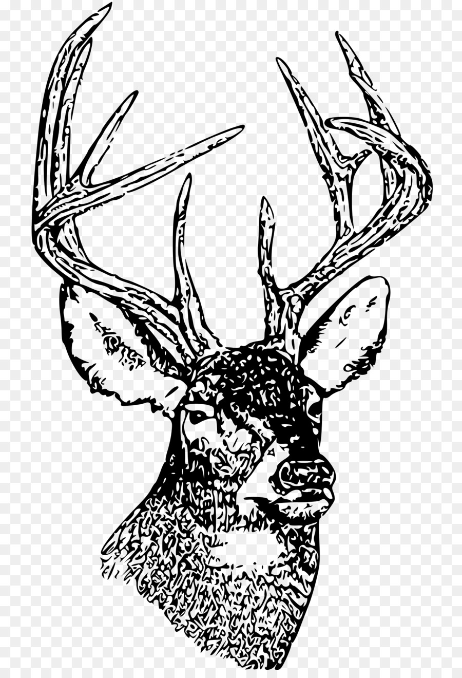 900x1320 Deer, Drawing, Illustration, Transparent Png Image Clipart Free - Moose Line Drawing