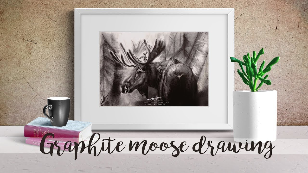 1280x720 Moose - Moose Pencil Drawings