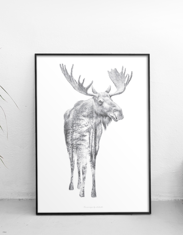 Moose Pencil Drawings at PaintingValley.com | Explore collection of ...