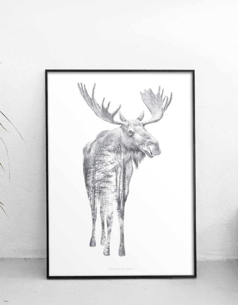 777x994 moose pencil drawing the creators rep - Moose Pencil Drawings