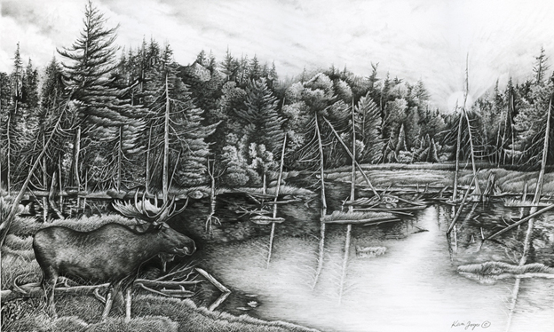 Moose Pencil Drawings at PaintingValley.com | Explore collection of ...