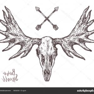 300x300 elk skull engraving style moose horns arenawp - Moose Skull Drawing