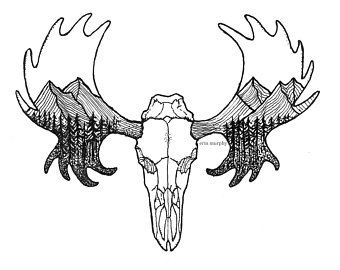 340x270 Moose Skull Etsy - Moose Skull Drawing