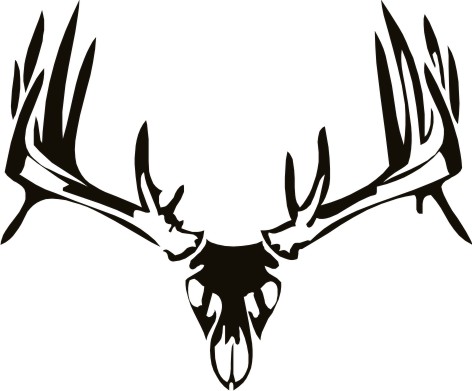 472x391 Skull Images Drawings - Moose Skull Drawing