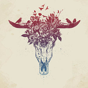 300x300 Bull Skull Drawings Fine Art America - Moose Skull Drawing