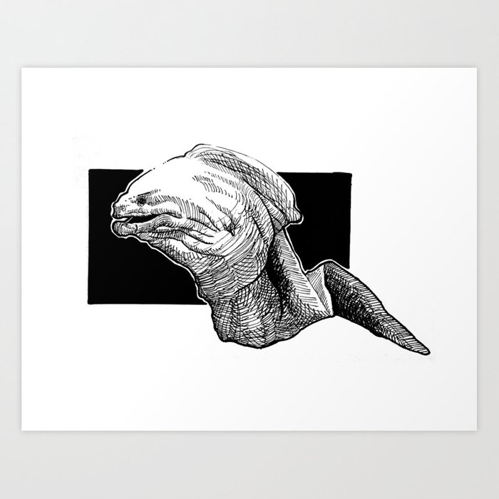 700x700 Moray Eel Art Print - Moray Eel Drawing