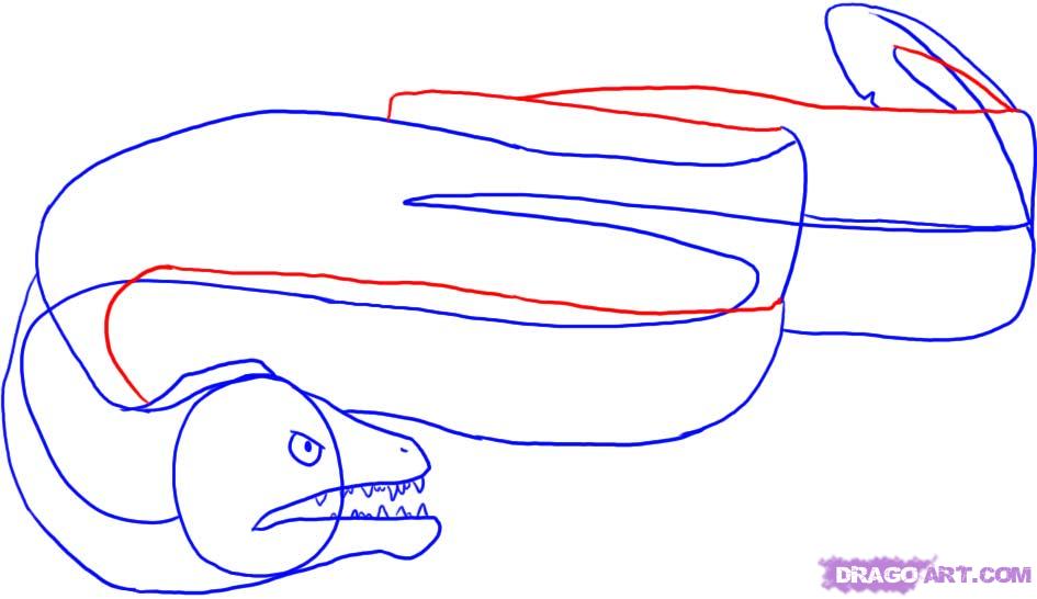 945x546 Step How To Draw A Moray Eel - Moray Eel Drawing
