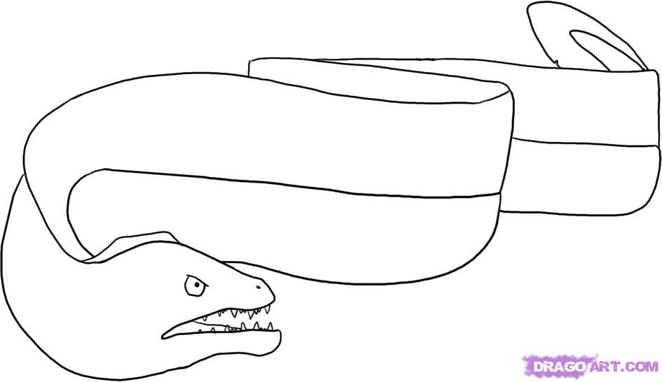 945x546 Step How To Draw A Moray Eel - Moray Eel Drawing