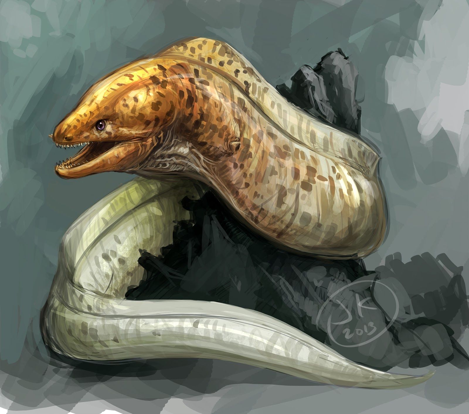 1600x1412 Moray Eel - Moray Eel Drawing