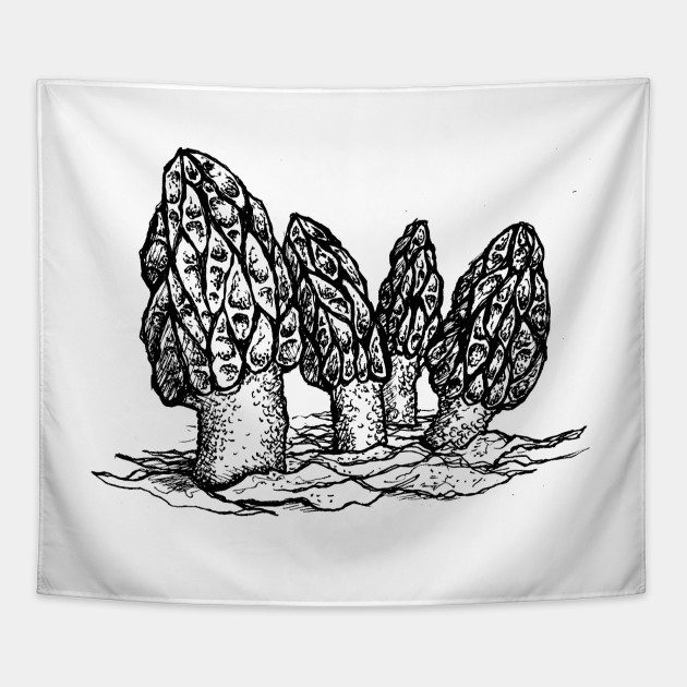 630x630 morel mushroom - Morel Mushroom Drawing