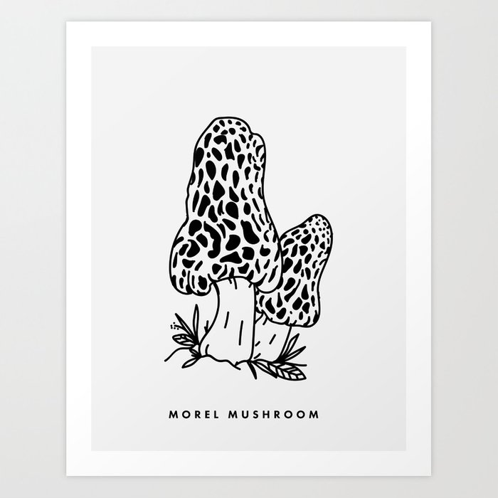 700x700 morel mushroom art print - Morel Mushroom Drawing