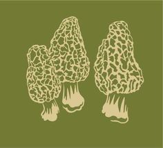 236x214 how to draw a morel mushroom - Morel Mushroom Drawing