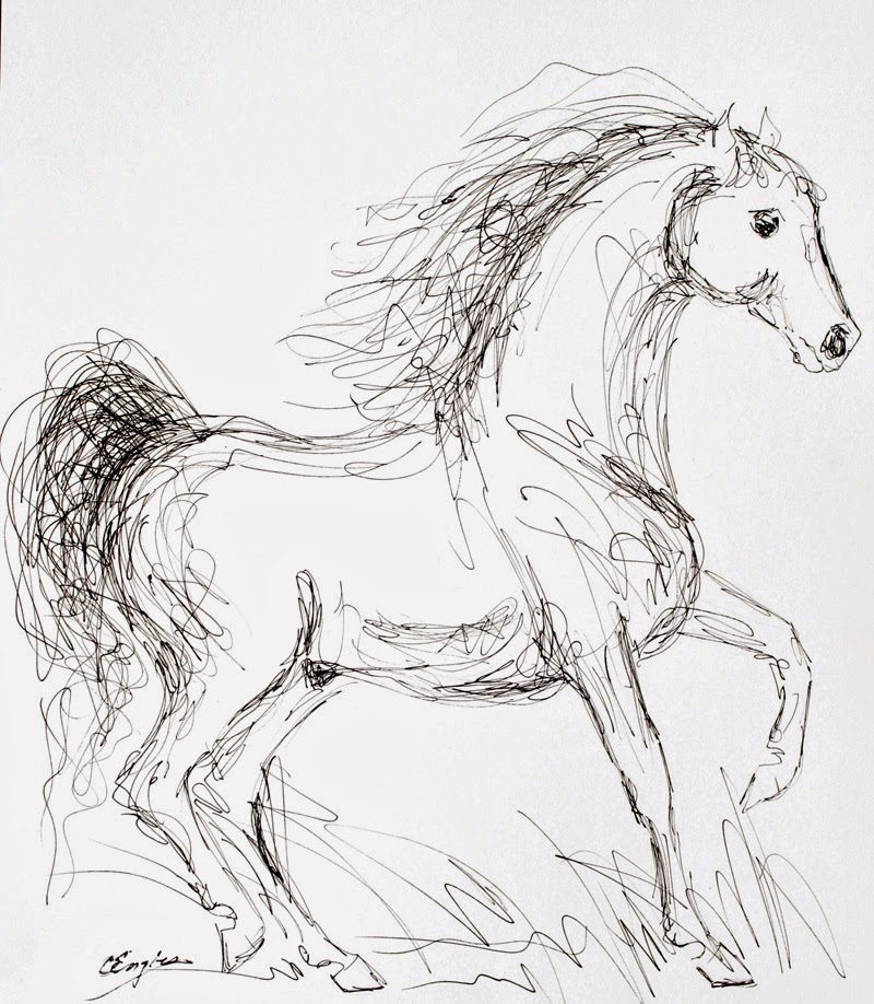 800x918 carol engles art morgan horse, gestural ink drawing - Morgan Horse Drawing