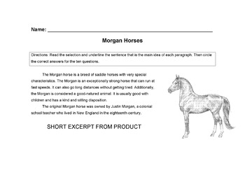 350x270 horses morgan horse worksheet + main idea, vocabulary - Morgan Horse Drawing