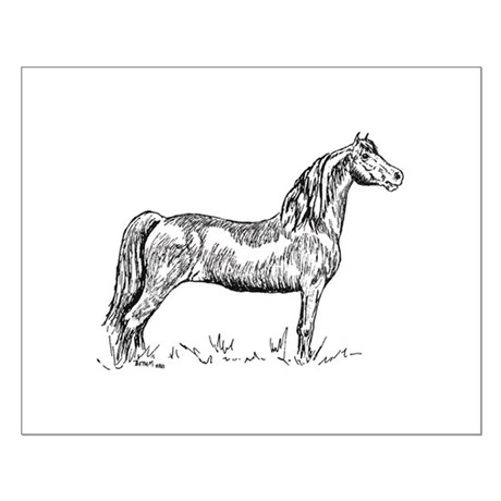 460x460 morgan horses wall art - Morgan Horse Drawing