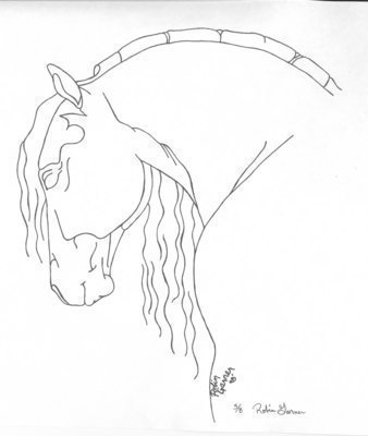 338x400 morgan horse drawings morgan horse guide - Morgan Horse Drawing