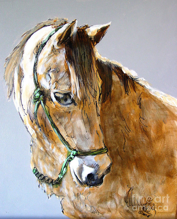 599x743 buck of the morgan horse ranch point reyes national seashore art - Morgan Horse Drawing